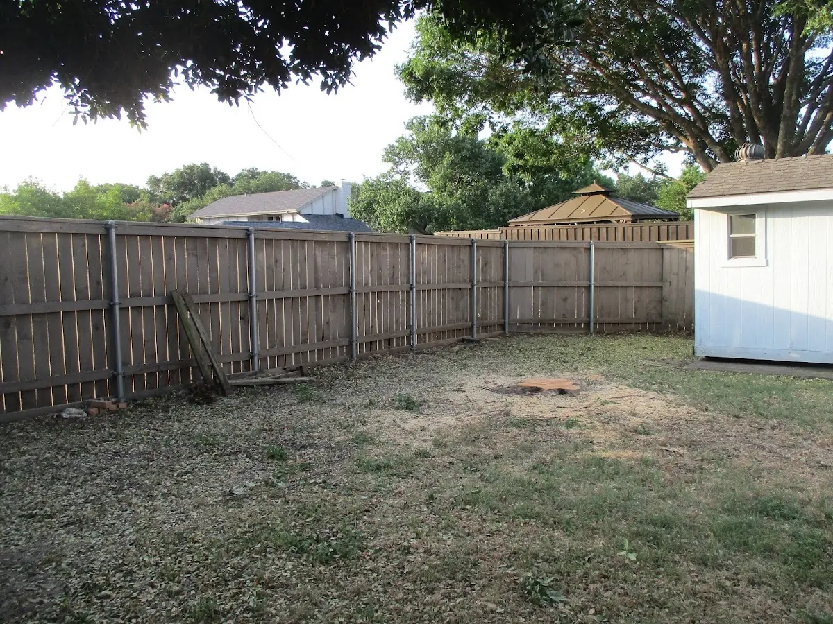 Cleared yard after professional tree removal in West Grove