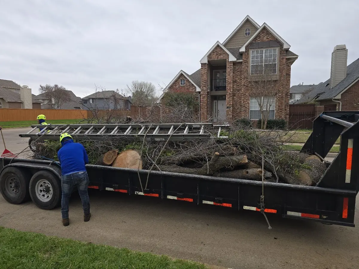 Expert Tree Removal with proper safety equipment in West Grove